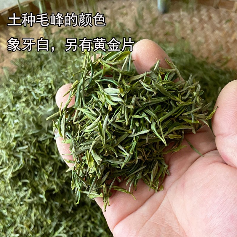 2022新茶黄山毛峰散装批发明前浓香型安徽黄山绿茶叶土种毛尖春茶