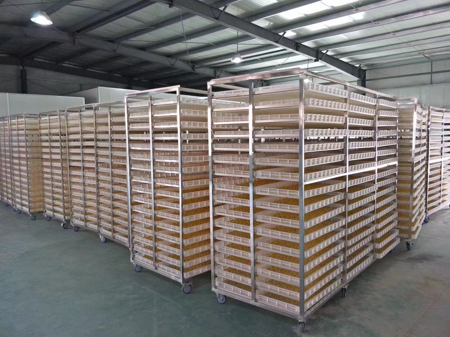 mmexport1574901984128