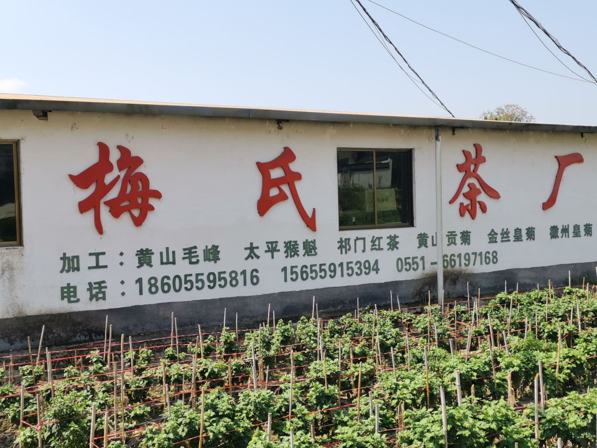 QQ图片20190908105523