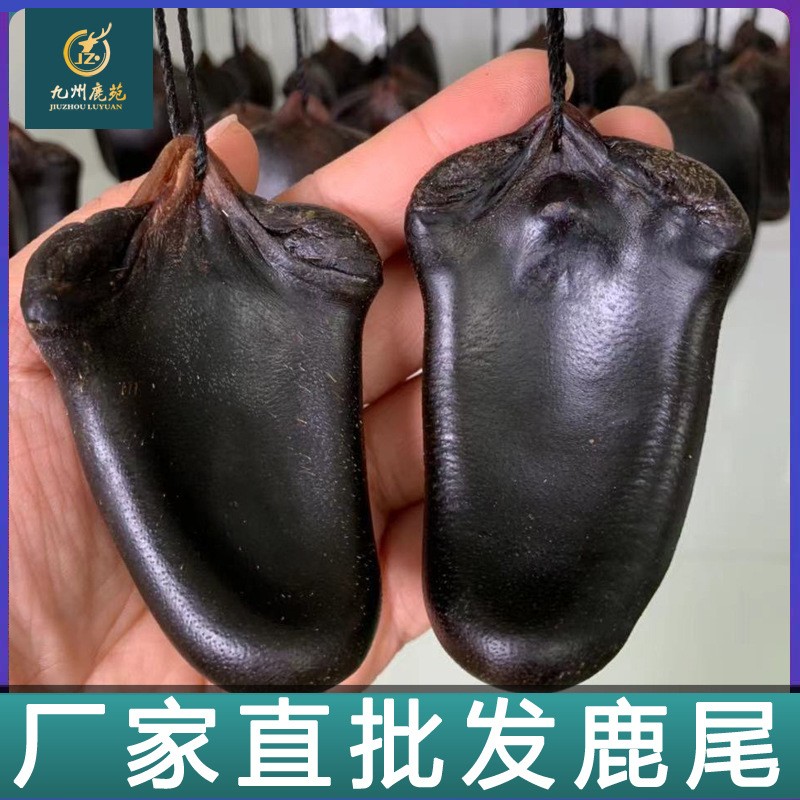 招代理】吉林双阳鹿鹿尾巴干精泡酒珲春鹿尾巴整枝特产鹿场批发