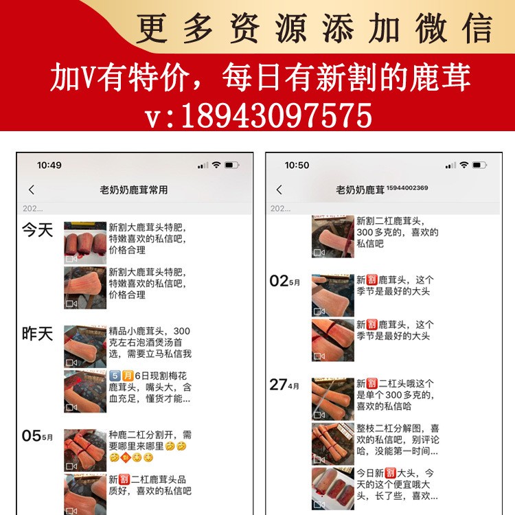 招代理】鹿茸整枝吉林梅花鹿东北头茬二杠泡酒新鲜片鹿鞭鹿场批发图2
