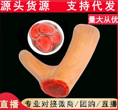 招代理】鹿茸整枝吉林梅花鹿东北头茬二杠泡酒新鲜片鹿鞭鹿场批发