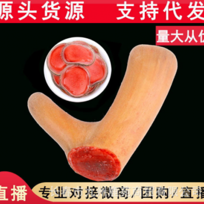 招代理】鹿茸整枝吉林梅花鹿东北头茬二杠泡酒新鲜片鹿鞭鹿场批发
