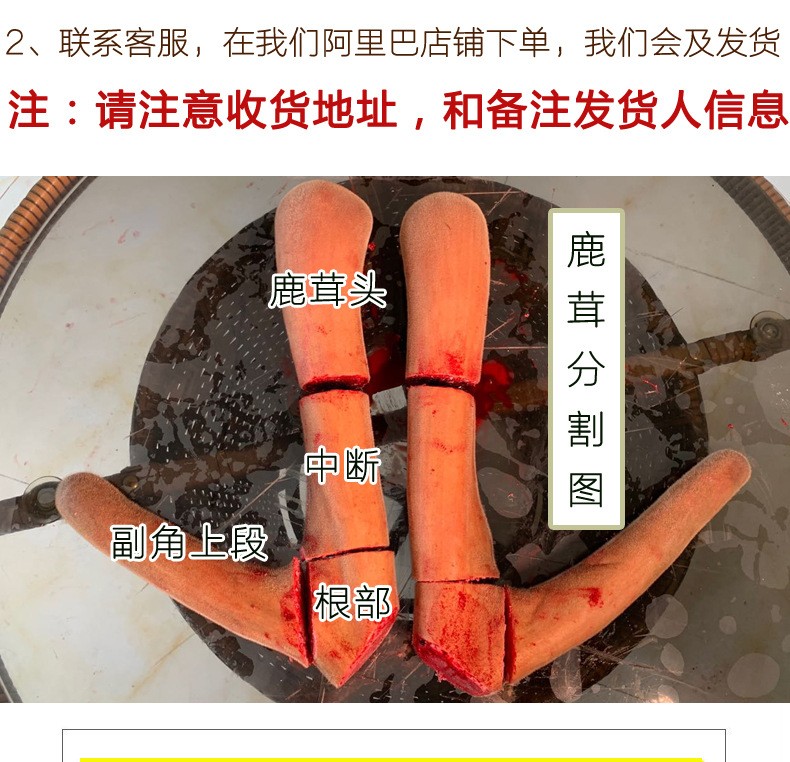 招代理】鹿茸整枝吉林梅花鹿东北头茬二杠泡酒新鲜片鹿鞭鹿场批发图3