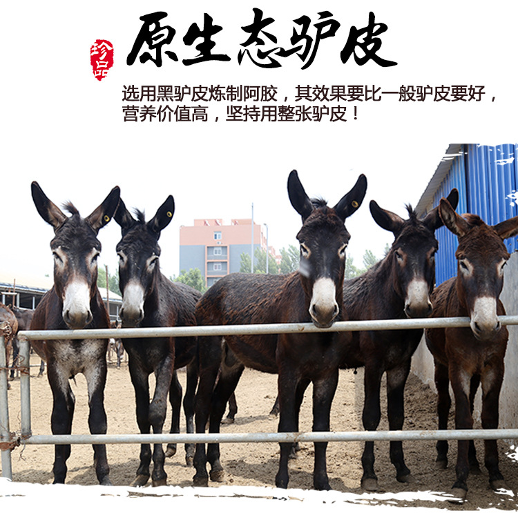 红盒子阿胶片_09.jpg