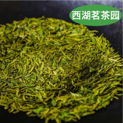 西湖绿茶龙井茶明前特级黄版浓香豆香浓郁特级龙井绿茶也250g