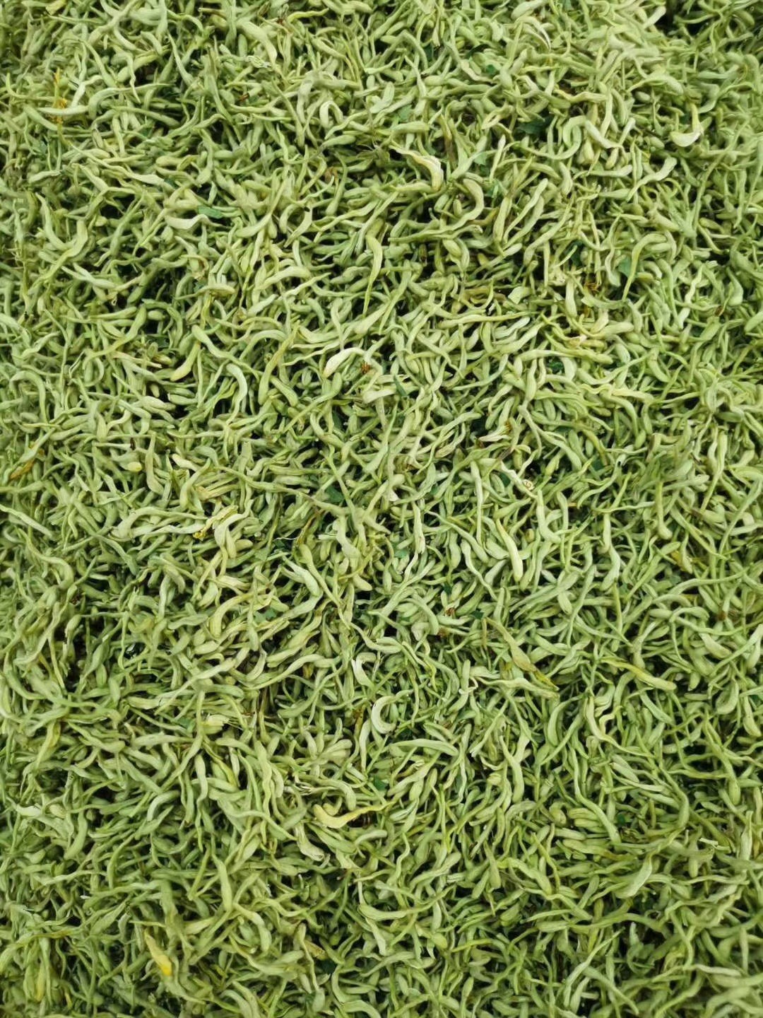 新货批发河南封丘金银花茶 金银花 散装花草茶干金银花 量大从优图3