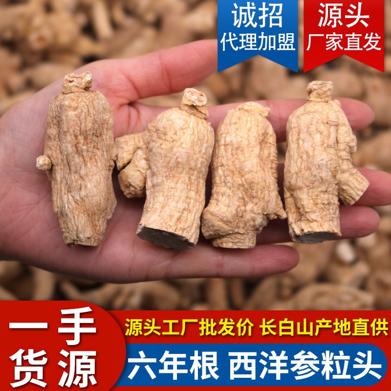 西洋参粒头东北吉林整枝酉详羊叁期祺其长白山花旗段批发一件代发