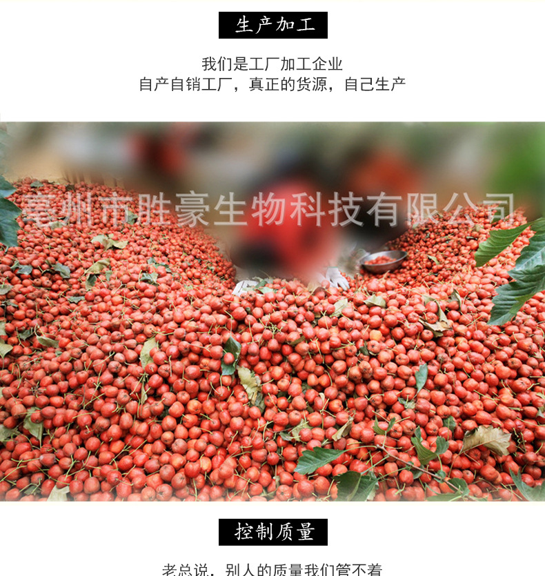 山楂_15.jpg