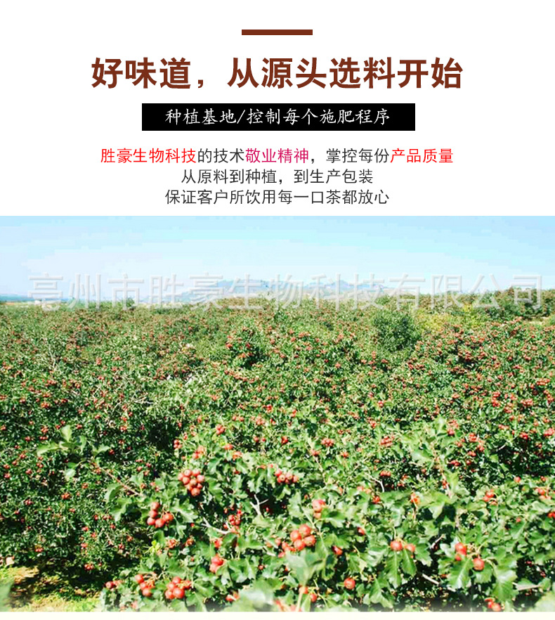 山楂_14.jpg
