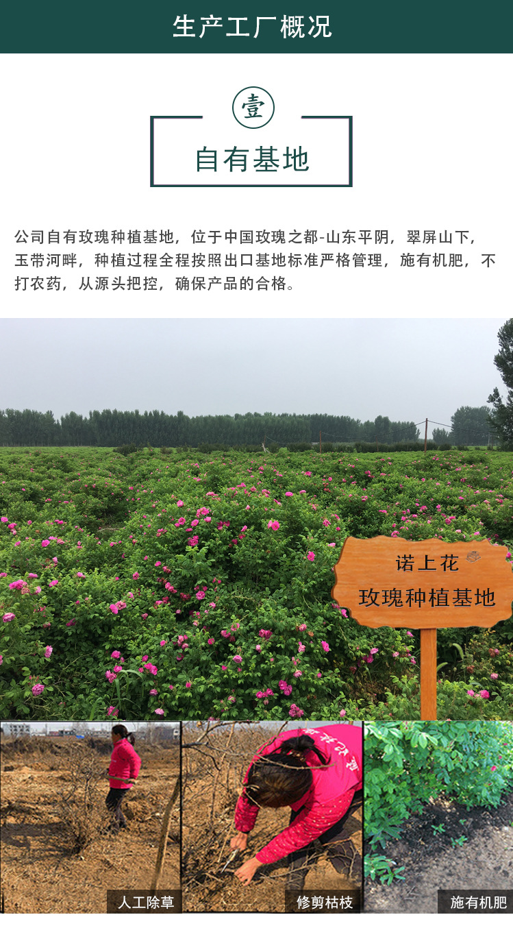 一级花冠_05