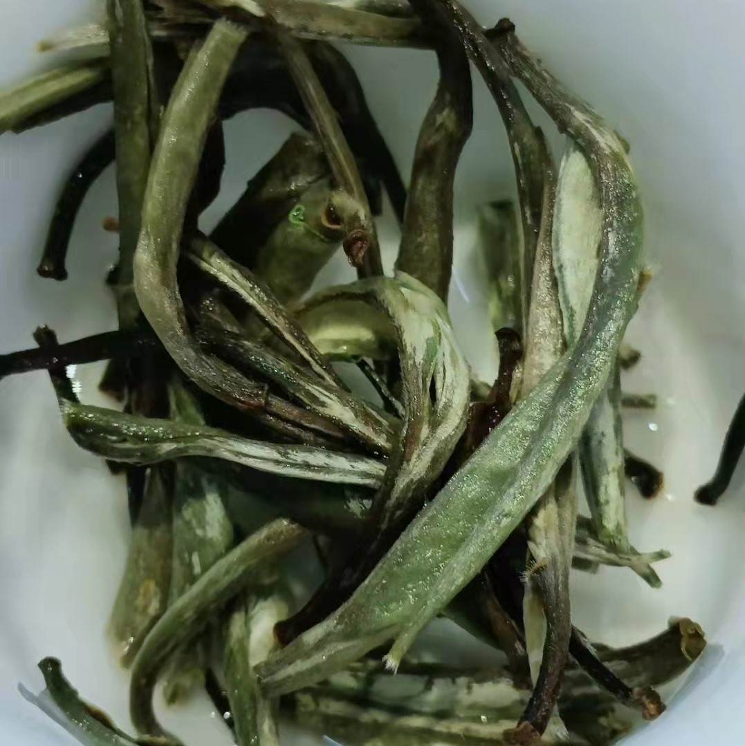 云南白毫银针散装批发古树白茶大白毫花香银针单芽月光白新茶散茶图3