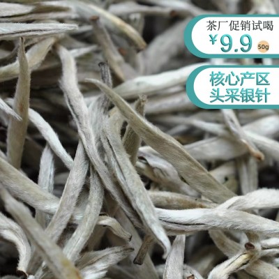 云南景谷白毫银针白茶散茶50g小样 古树白豪大白芽散装新茶叶批发