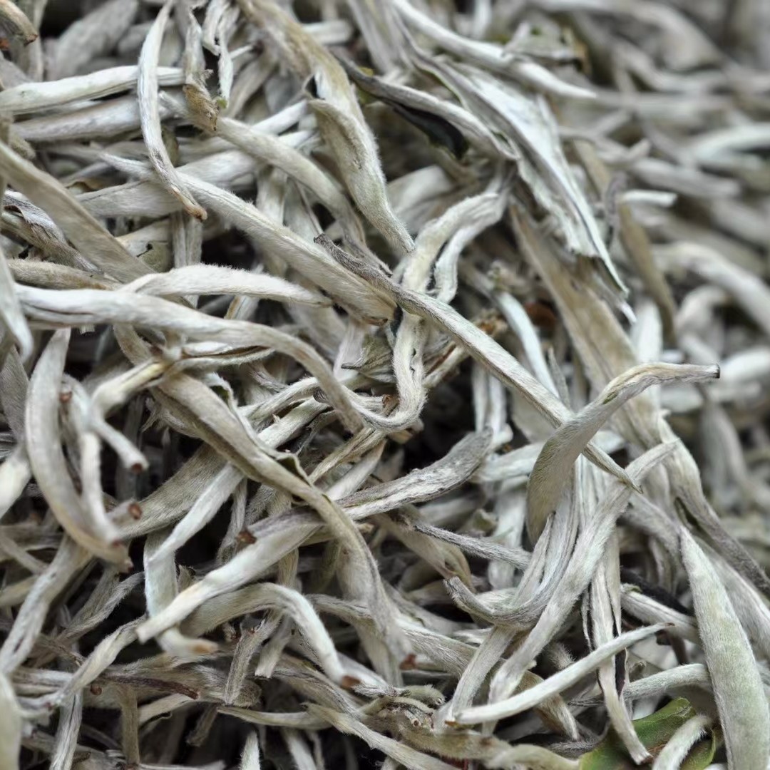 云南景谷白毫银针白茶散茶50g小样 古树白豪大白芽散装新茶叶批发图3