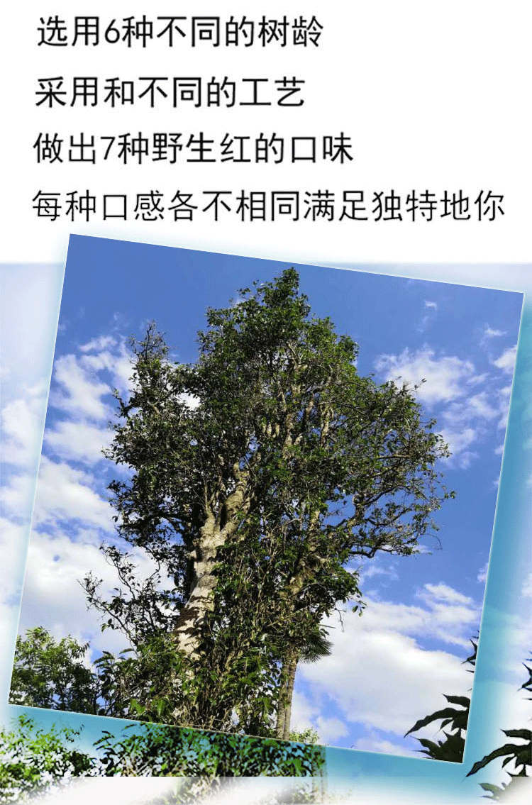 未标题-1_04
