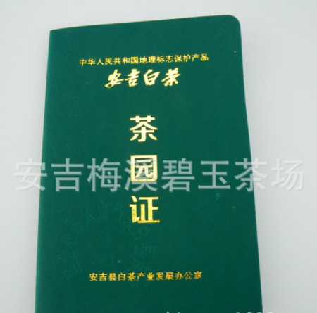 半斤装250克批发直销开园头采安吉白茶正宗原产地安吉珍稀白茶图5