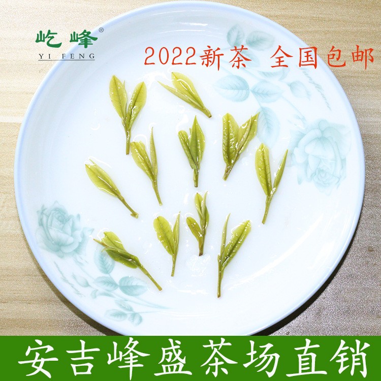 250克明前特级屹峰安吉白茶 2022年新茶 绿茶叶原产地散茶批发图3