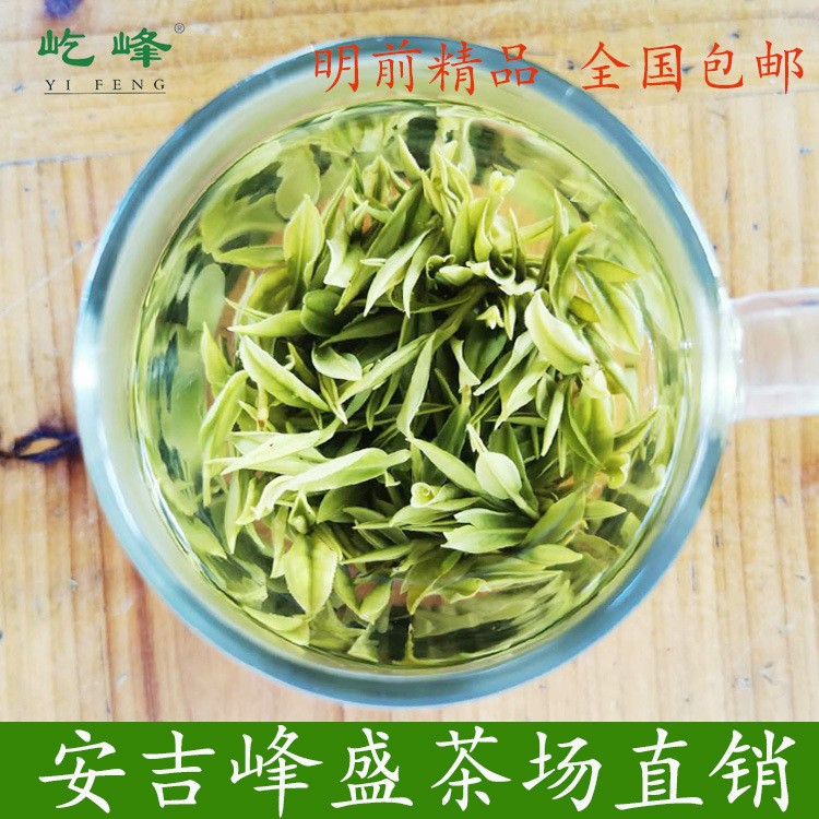 屹峰精品安吉白茶 特款2022明前级茶叶 250克绿茶原产地散茶批发图3