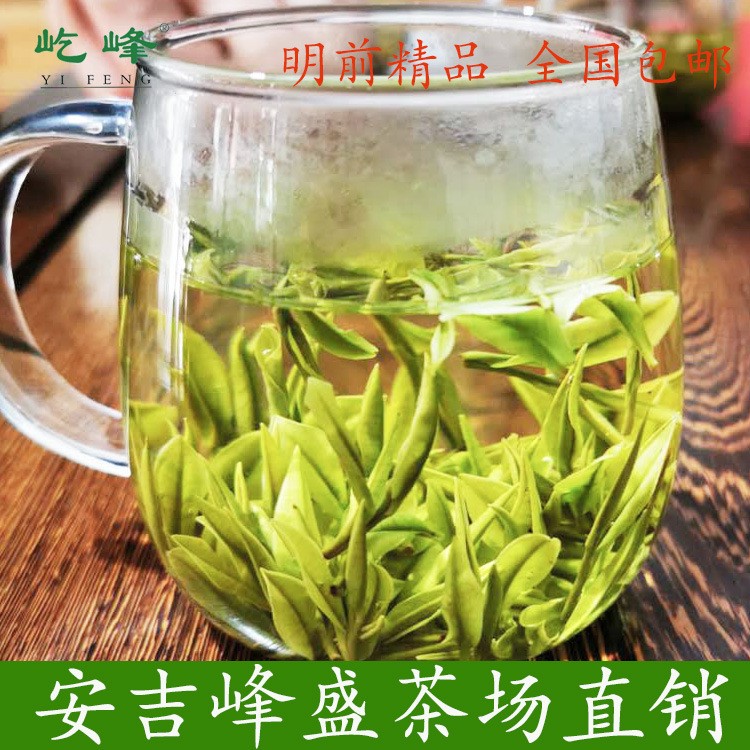 屹峰精品安吉白茶 特款2022明前级茶叶 250克绿茶原产地散茶批发图2