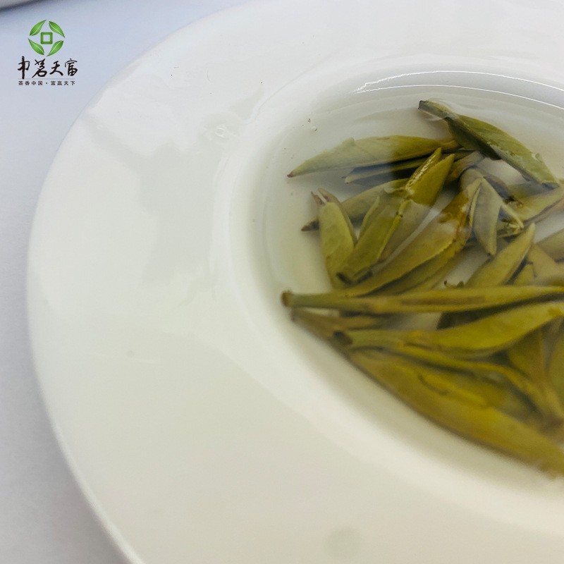 福鼎白茶白毫银针批发茶叶白茶散茶白茶饼白豪银针荒野银针2022图3