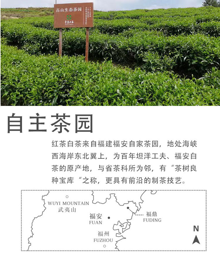 画板-1_08.jpg