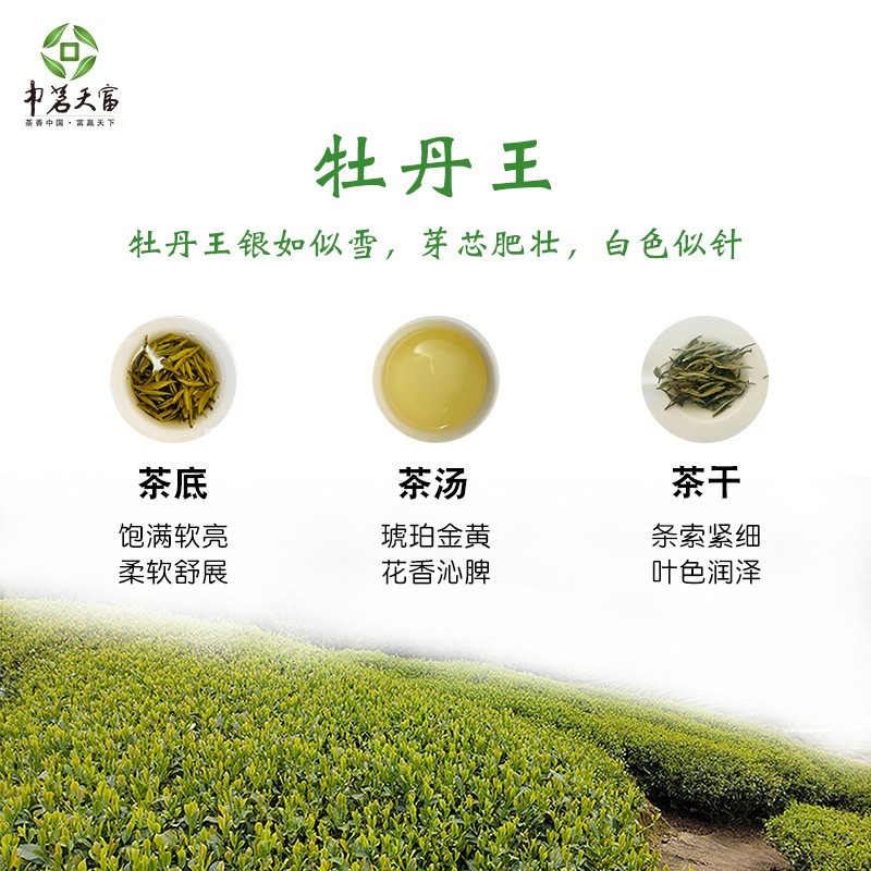 2022年福鼎的白茶白牡丹 明前日晒 白茶散装批 茶叶批发牡丹 散茶图4