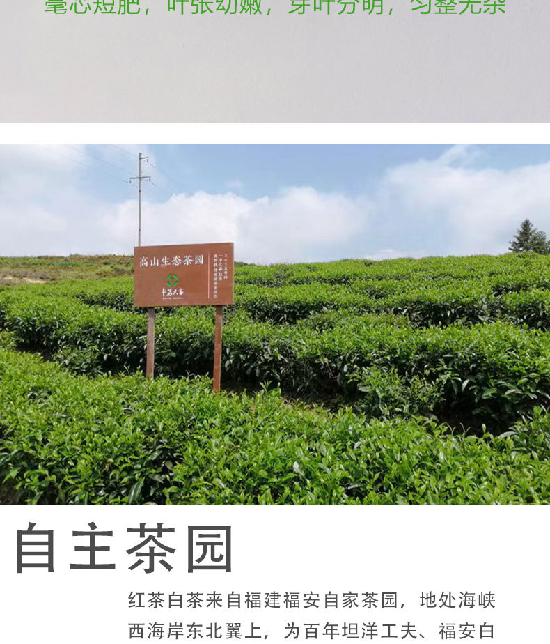 790详情页-恢复的-恢复的_12.jpg