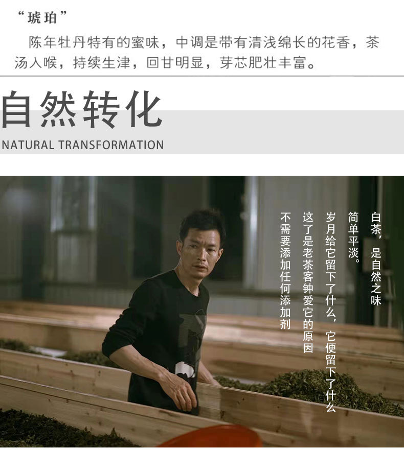 790详情页-恢复的-恢复的_14.jpg