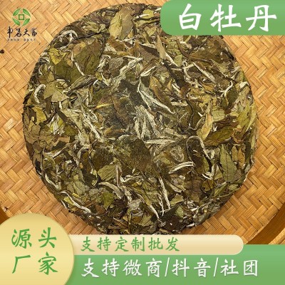 中茗天富福鼎老白茶白牡丹日晒老白茶350g白毫银针茶饼厂家批发