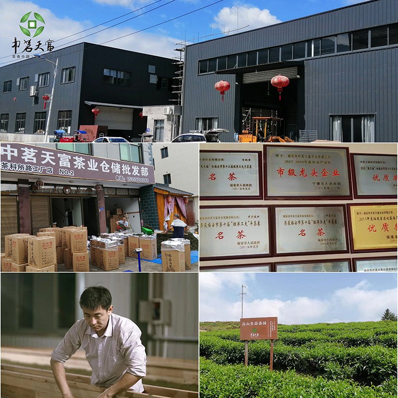 中茗天富福鼎老白茶白牡丹日晒老白茶350g白毫银针茶饼厂家批发图3